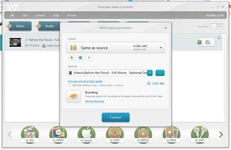 Freemake Video Converter Review .